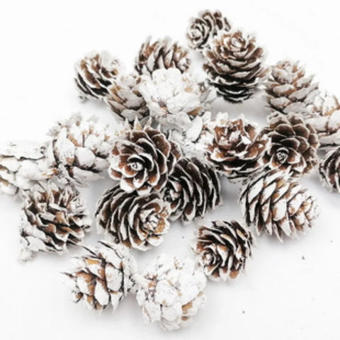 LUSQI 20PC Natural Snowflake Pinecones Christmas Tree Decorations Scene Arrangement Atmosphere Decorations Props