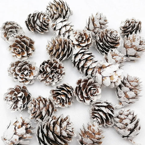 LUSQI 20PC Natural Snowflake Pinecones Christmas Tree Decorations Scene Arrangement Atmosphere Decorations Props