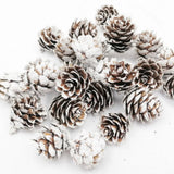 LUSQI 20PC Natural Snowflake Pinecones Christmas Tree Decorations Scene Arrangement Atmosphere Decorations Props