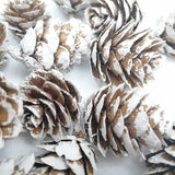 LUSQI 20PC Natural Snowflake Pinecones Christmas Tree Decorations Scene Arrangement Atmosphere Decorations Props